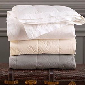 Down Inc. Endure King Down Blanket